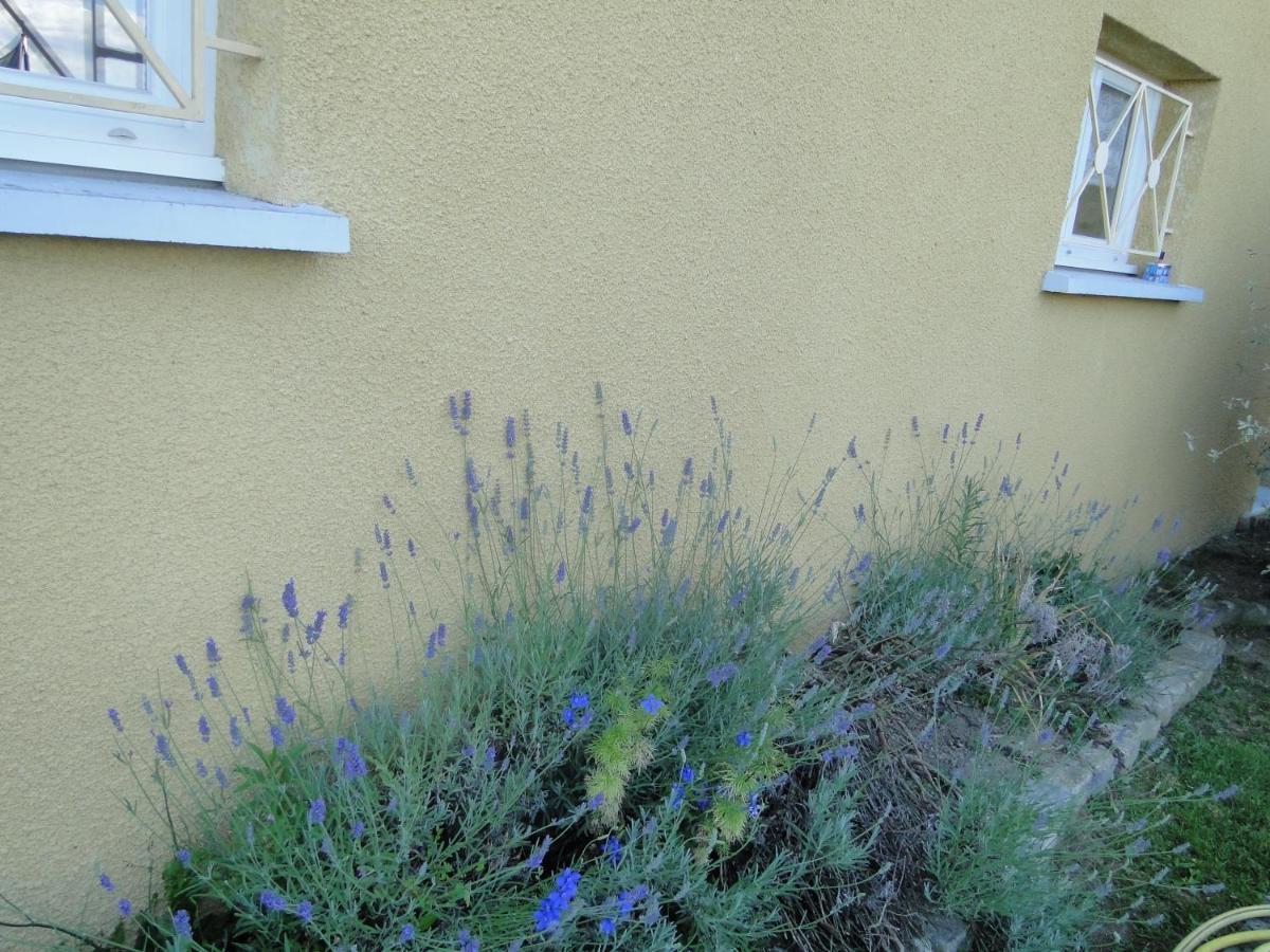 La Maison Provencale